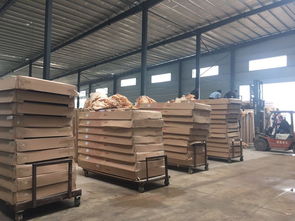 建筑工程中高端門類選擇 新款電解門、拼裝門、鋁合金轉(zhuǎn)印門與定制鋼套門的解析與考量